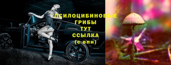 a pvp Няндома