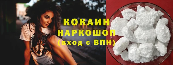 стаф Осинники
