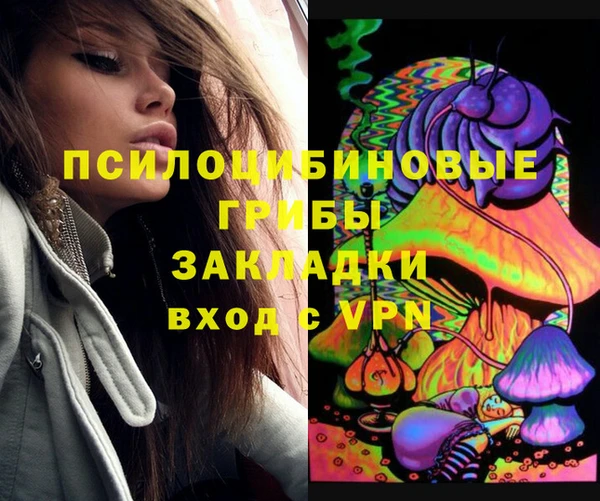 мдпв Нязепетровск