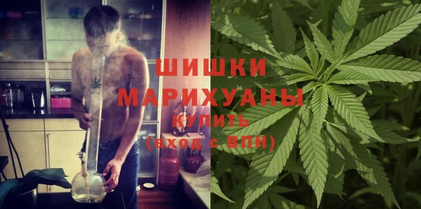 мдпв Нязепетровск