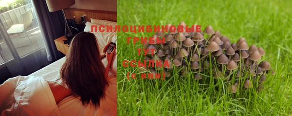 a pvp Няндома