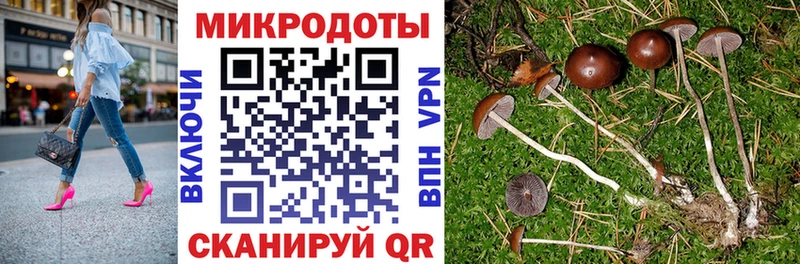 Галлюциногенные грибы мицелий  Купить закладки  Кудымкар 